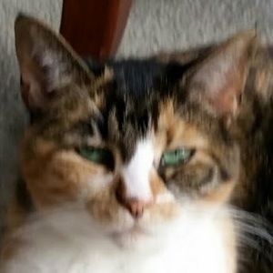 Meet your Posher, Lydia